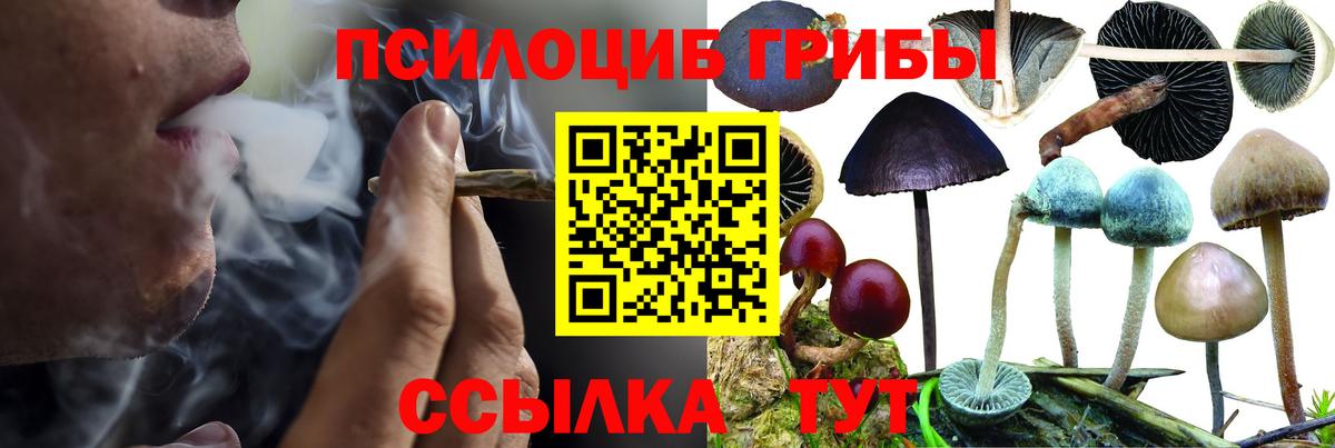 Псилоцибиновые грибы мухоморы Ачхой-Мартан