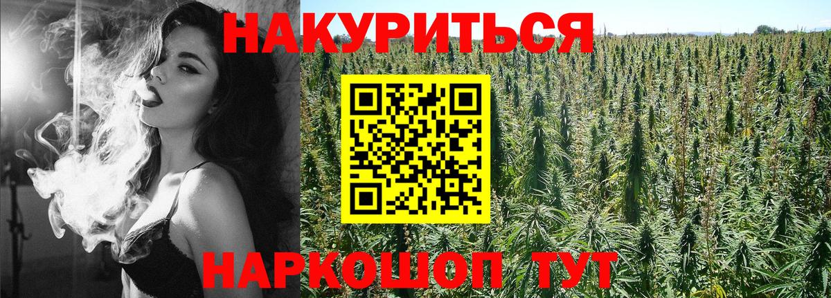 Шишки марихуана конопля  Канабис White Widow  Конопля LSD WEED  Ачхой-Мартан  Вход с VPN 